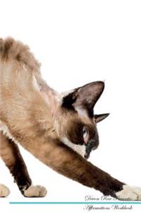 Devon Rex Affirmations Workbook Devon Rex Presents