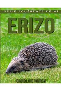 Erizo