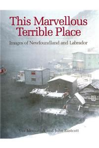This Marvellous Terrible Place