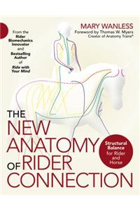 The New Anatomy of Rider Connection