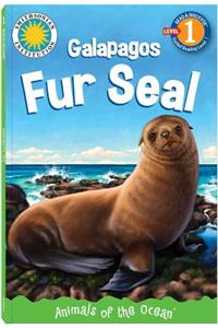 Fur Seal Grows Up