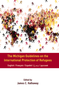 Michigan Guidelines on the International Protection of Refugees