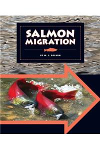 Salmon Migration