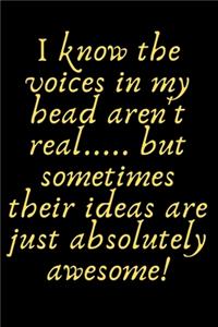 I know the voices in my head aren't real..... but sometimes their ideas are just absolutely awesome!