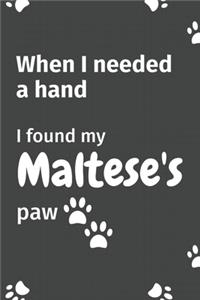 When I needed a hand, I found my Maltese's paw