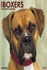 Just Boxers 2018 Wall Calendar (Dog Breed Calendar)