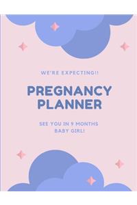 Pregnancy Planner