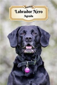 2020 Labrador Nero Agenda