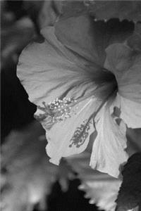 Hibiscus Notebook