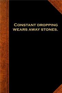 2019 Daily Planner Ben Franklin Quote Dropping Stones Vintage Style