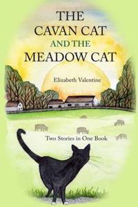 Cavan Cat and the Meadow Cat