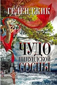 Геленджик. Чудо Пицундской Сосны