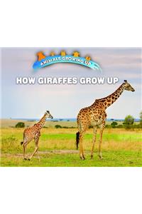 How Giraffes Grow Up