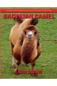 Bactrian camel