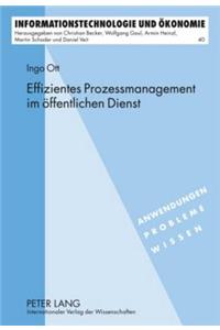 Effizientes Prozessmanagement Im Oeffentlichen Dienst: Ein Ansatz Fuer Effizientes E-Government