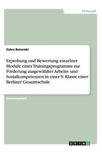 Erprobung und Bewertung einzelner Module eines Trainingsprogramms zur Förderung ausgewählter Arbeits- und Sozialkompetenzen in einer 9. Klasse einer Berliner Gesamtschule