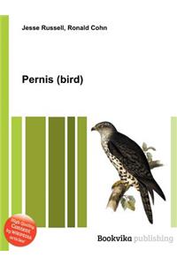 Pernis (Bird)
