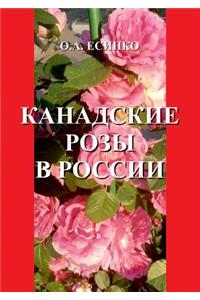 Канадские розы в России