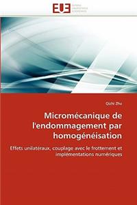 Micromécanique de l''endommagement Par Homogénéisation