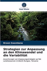 Strategien zur Anpassung an den Klimawandel und die Variabilität