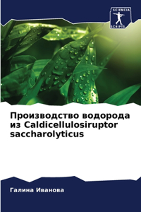 Производство водорода из Caldicellulosiruptor saccharolyticus