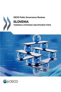 OECD Public Governance Reviews Slovenia