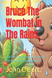 Bruce The Wombat in The Rains.