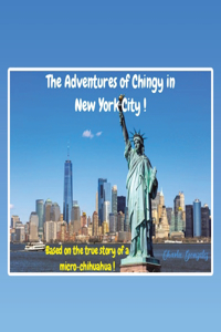Adventures of Chingy in New York City!