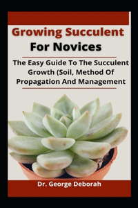 Growing Succulent For Novices