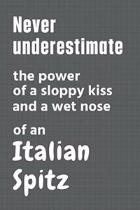 Never underestimate the power of a sloppy kiss and a wet nose of an Italian Spitz