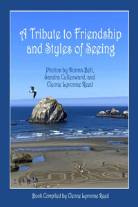 Tribute to Friendship and Styles of Seeing