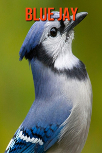 Blue Jay