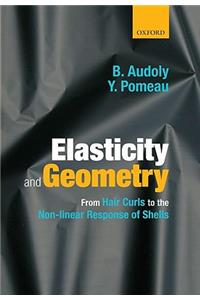Elasticity and Geometry