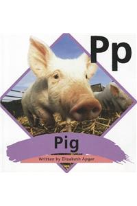 Ready Readers, Stage Abc, Book 11, Pig, Single Copy