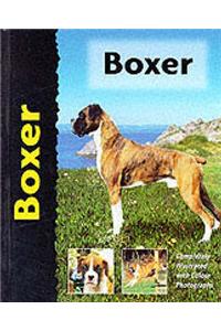 Pet Love Boxer