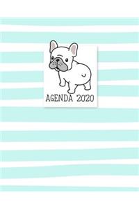 Agenda 2020