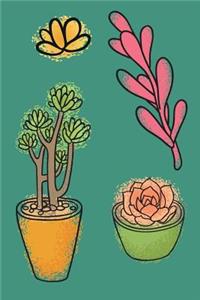 Succulents