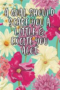 A Goal Should Scare You a Little & Excite You a Lot