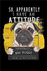 So, Apparently I Have An Attitude