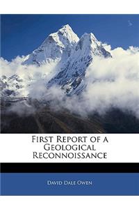 First Report of a Geological Reconnoissance