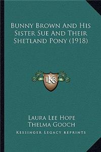 Bunny Brown and His Sister Sue and Their Shetland Pony (1918)