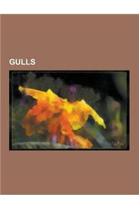 Gulls: American Herring Gull, Andean Gull, Armenian Gull, Audouin's Gull, Belcher's Gull, Black-Billed Gull, Black-Headed Gul