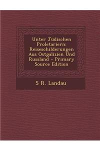 Unter Judischen Proletariern: Reiseschilderungen Aus Ostgalizien Und Russland