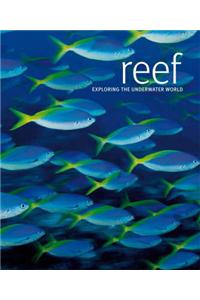 Reef: Exploring the Underwater World