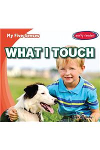 What I Touch
