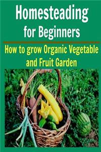 Homesteading For Beginners
