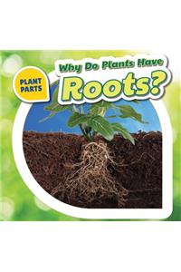 Why Do Plants Have Roots?