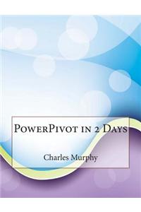 Powerpivot in 2 Days