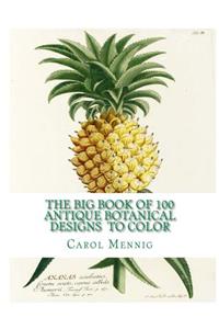 The Big Book of 100 Botanical Designs to Color