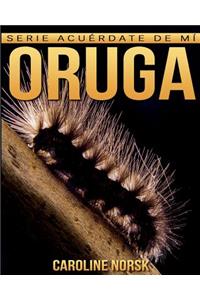 Oruga